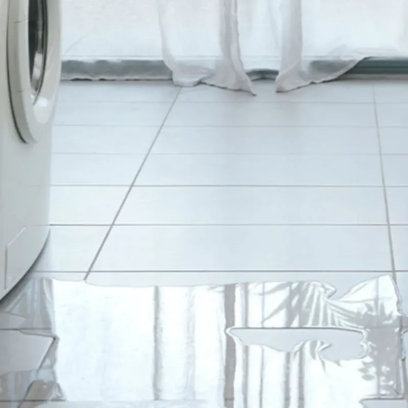 Appliance Leak Cleanup in Melbourne, AR