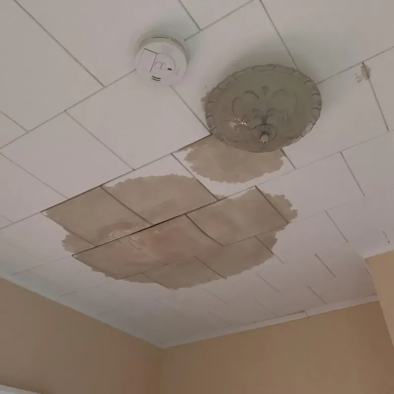 Ceiling Water Damage Repair in Melbourne, AR
